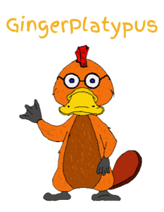 gingerplatypusapparel