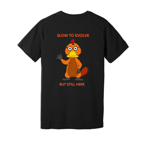 back_11